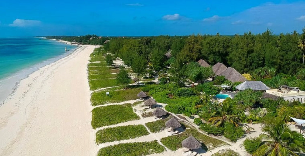Tanzania safari and Zanzibar beach combination — wildebeest on the Serengeti plains with Indian Ocean coast