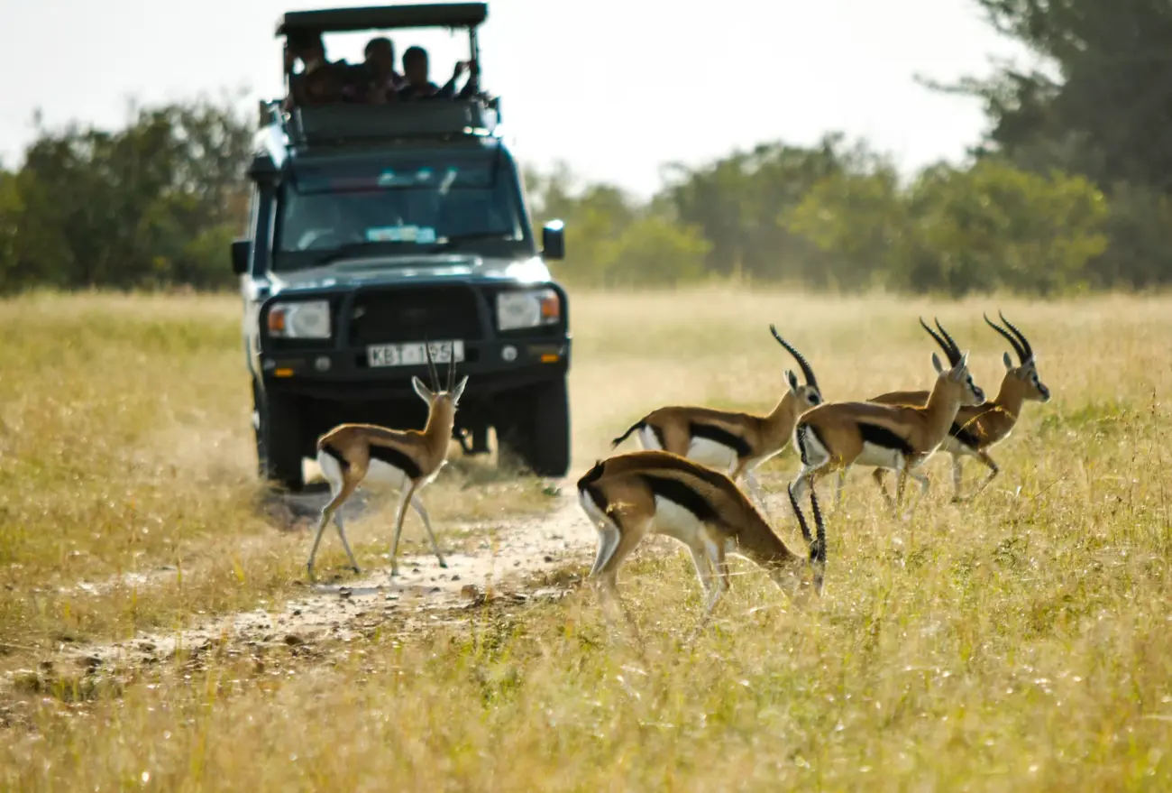 Kenya and Tanzania