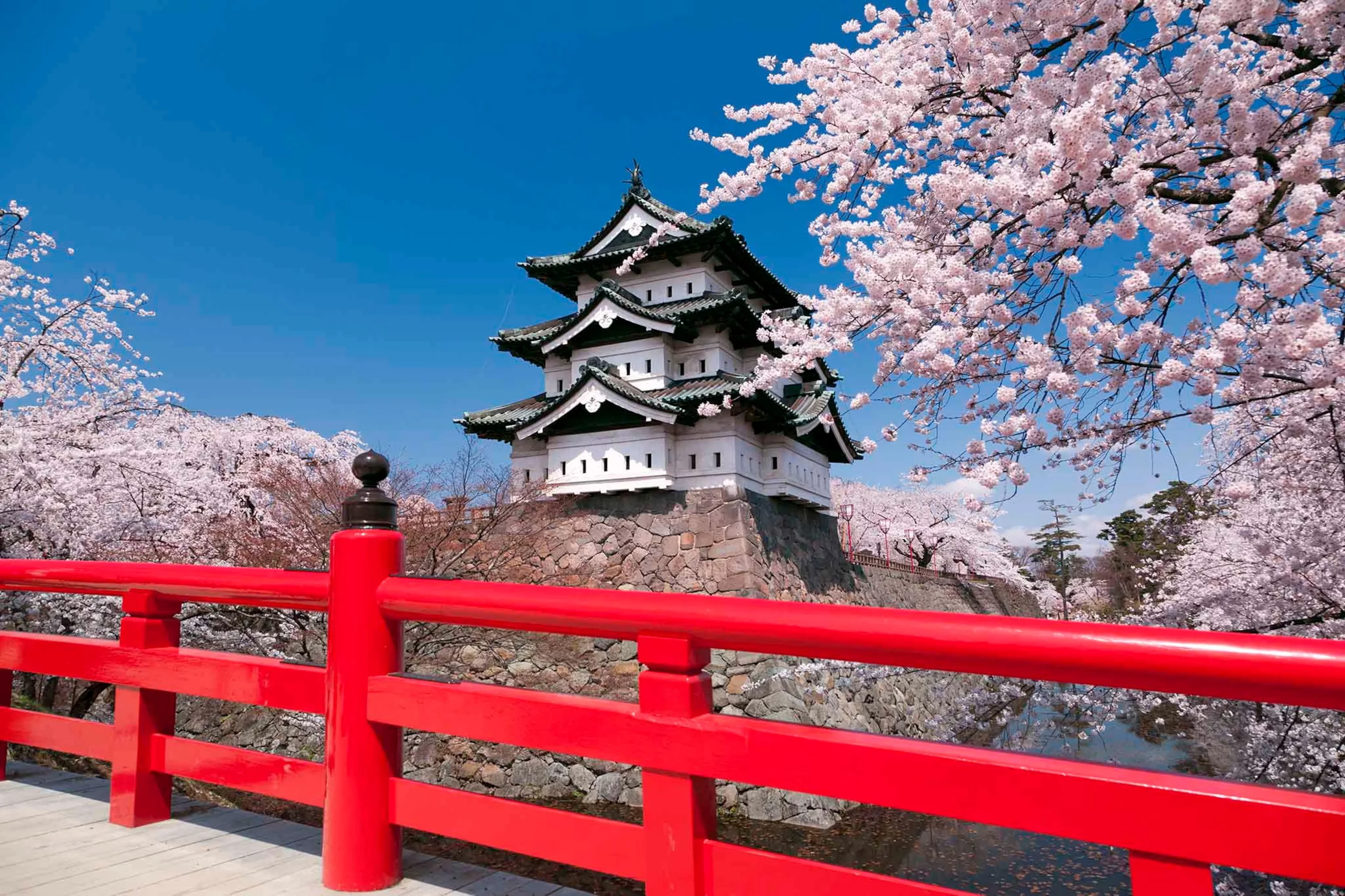 Japan Travel Guide