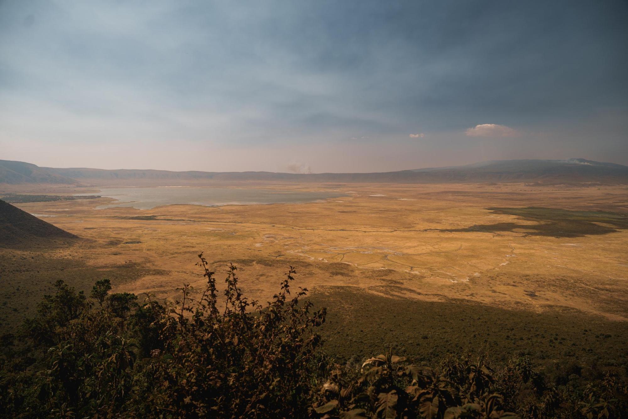 Who Are the Masai People? Location, Population, Culture and Identity Explained