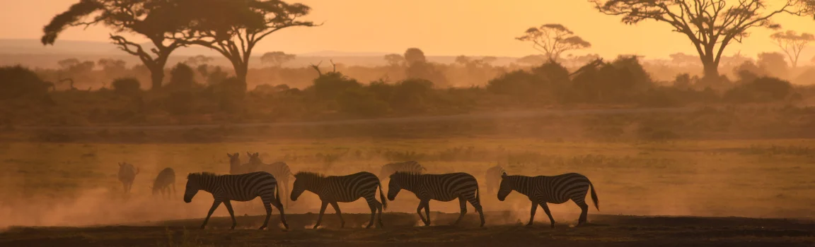 Great Migration Dates in 2026: Month-by-Month Guide for Masai Mara Safaris