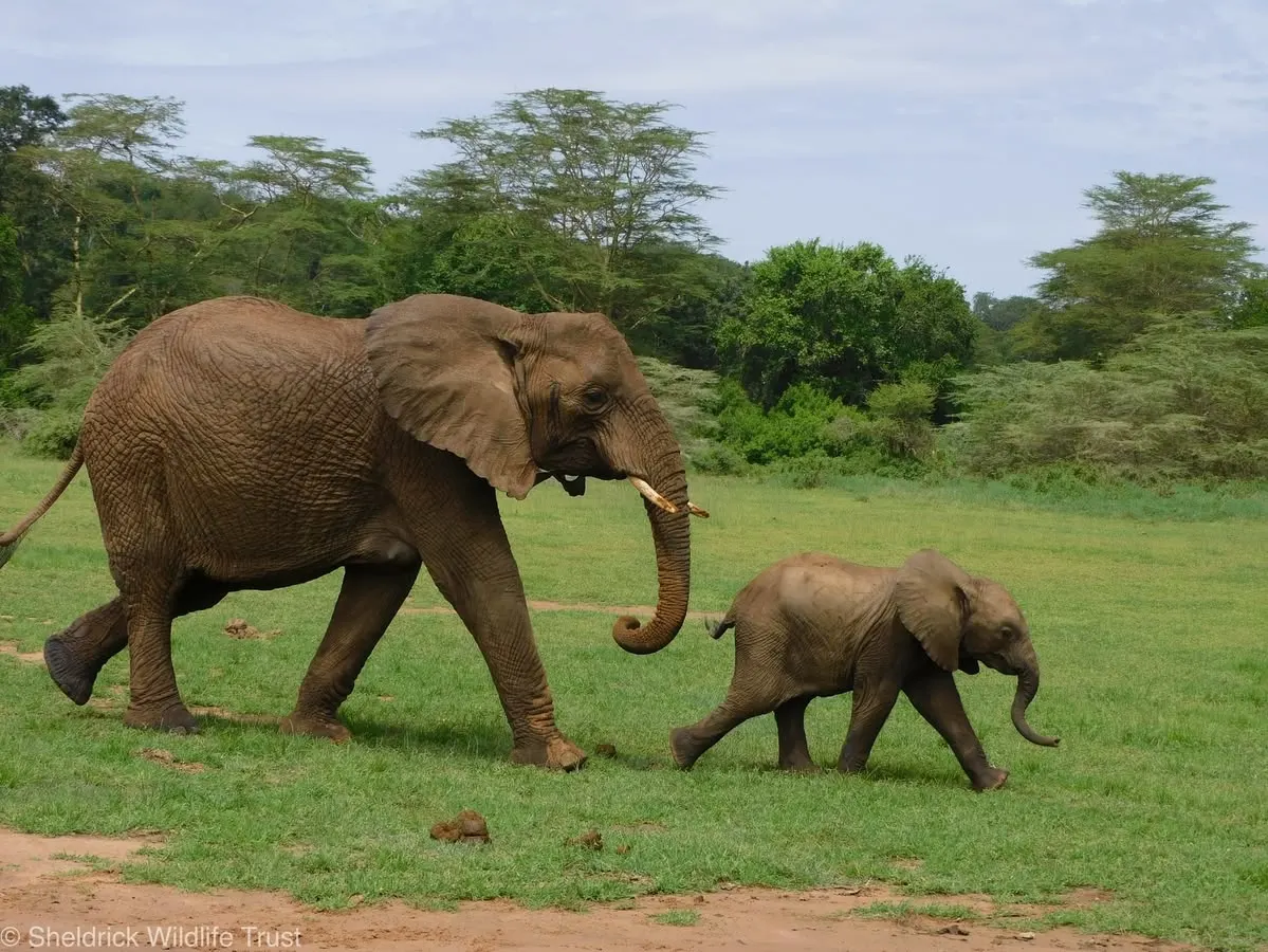 Luxury travel stories and guides