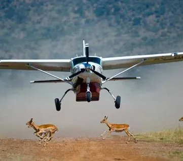 Fly-in safari aircraft landing at Masai Mara airstrip