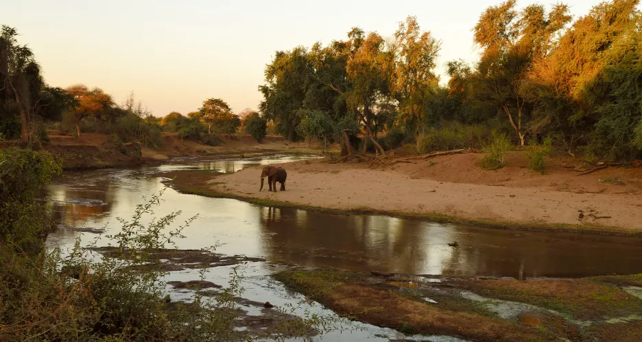 Masai Mara vs Kruger