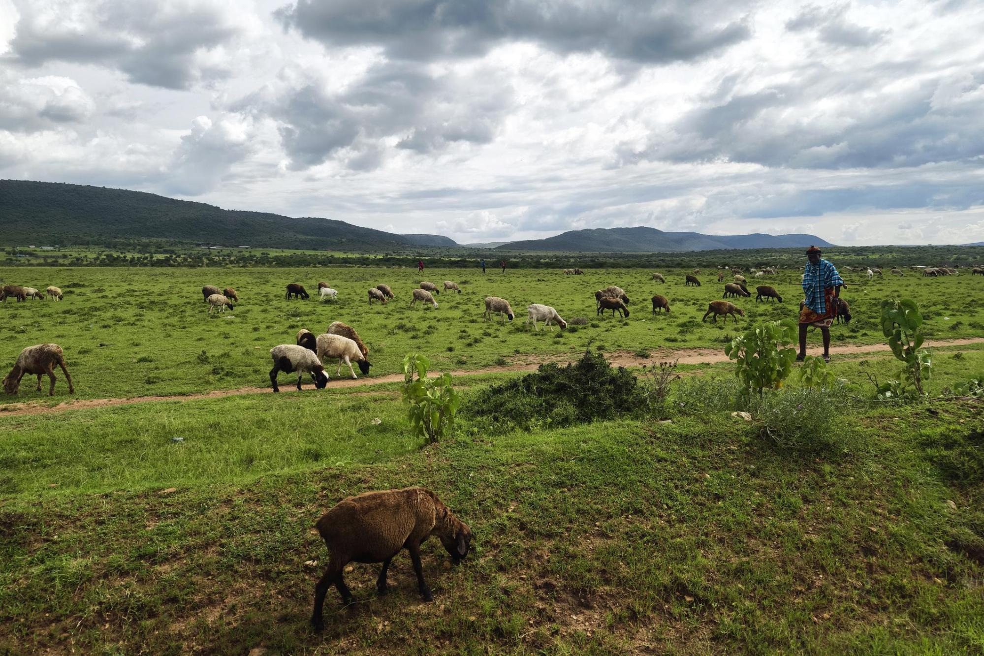 Origins of the Masai and migration through the Great Rift Valley