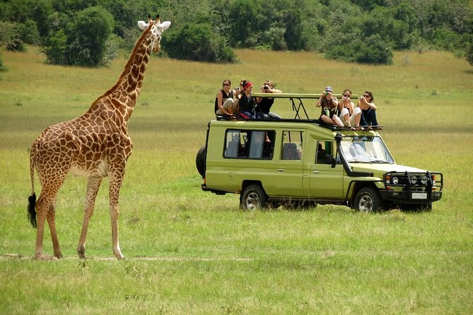 Masai Mara Safari Cost from Bangalore 2026 – Budget to Luxury Price Guide