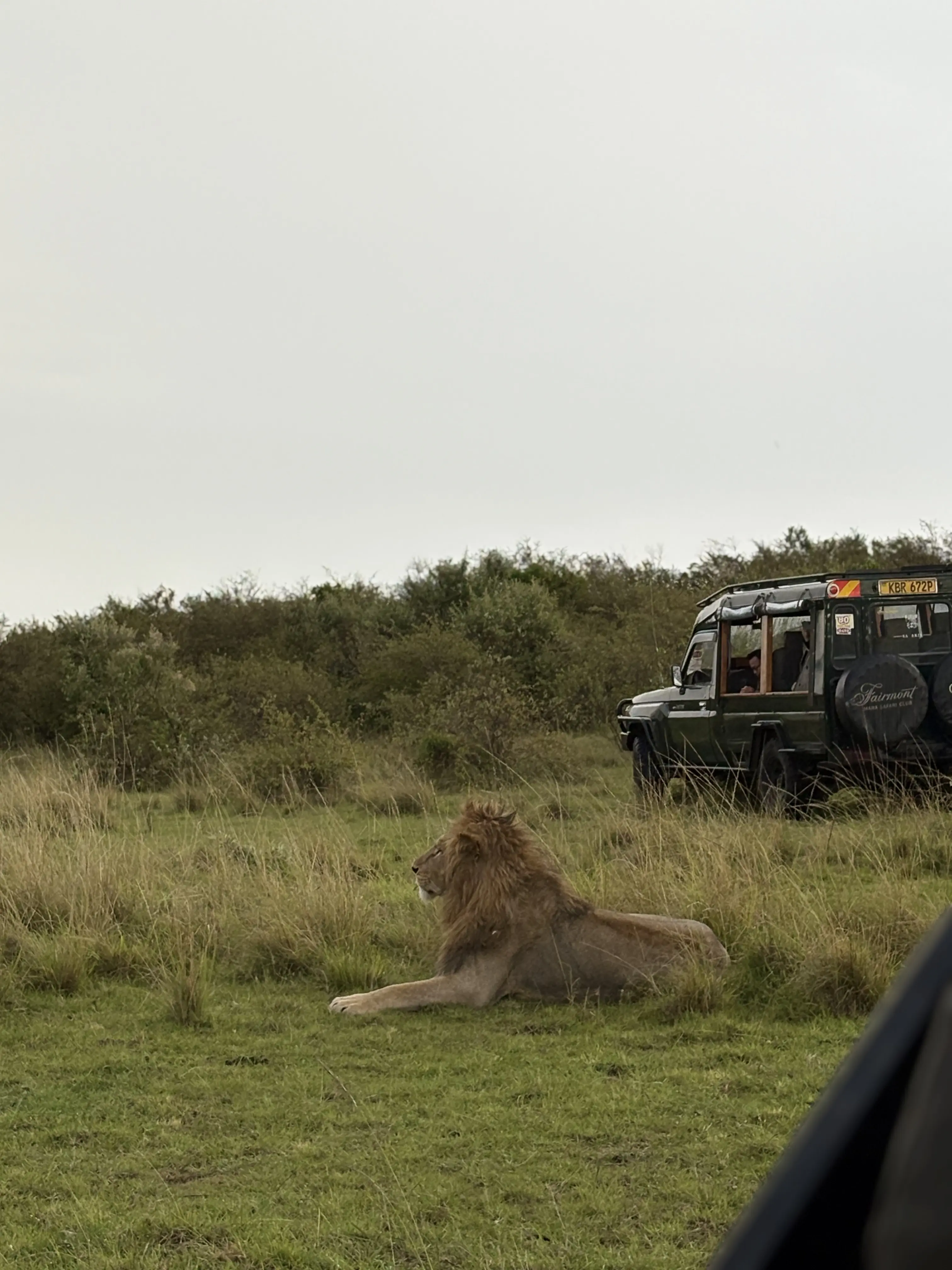 Masai Mara safari itinerary planning overview