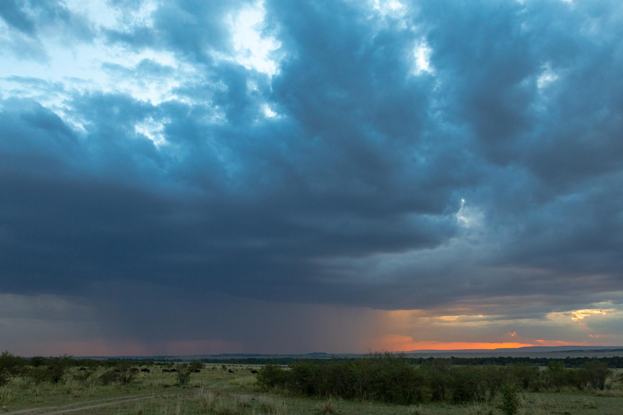 Is June a Good Time to Visit Masai Mara? (Best Time to Visit + Weather, Wildlife & Crowds)