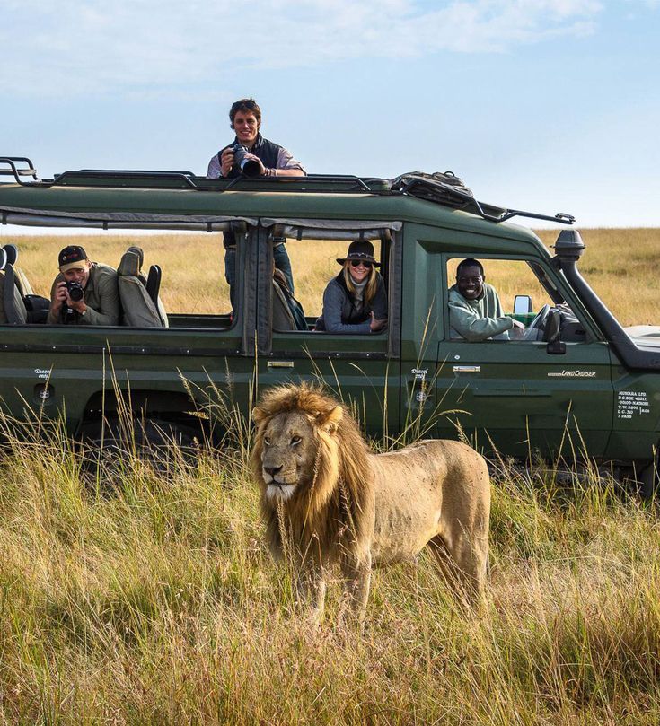 Masai Mara safari cost from India in 2026