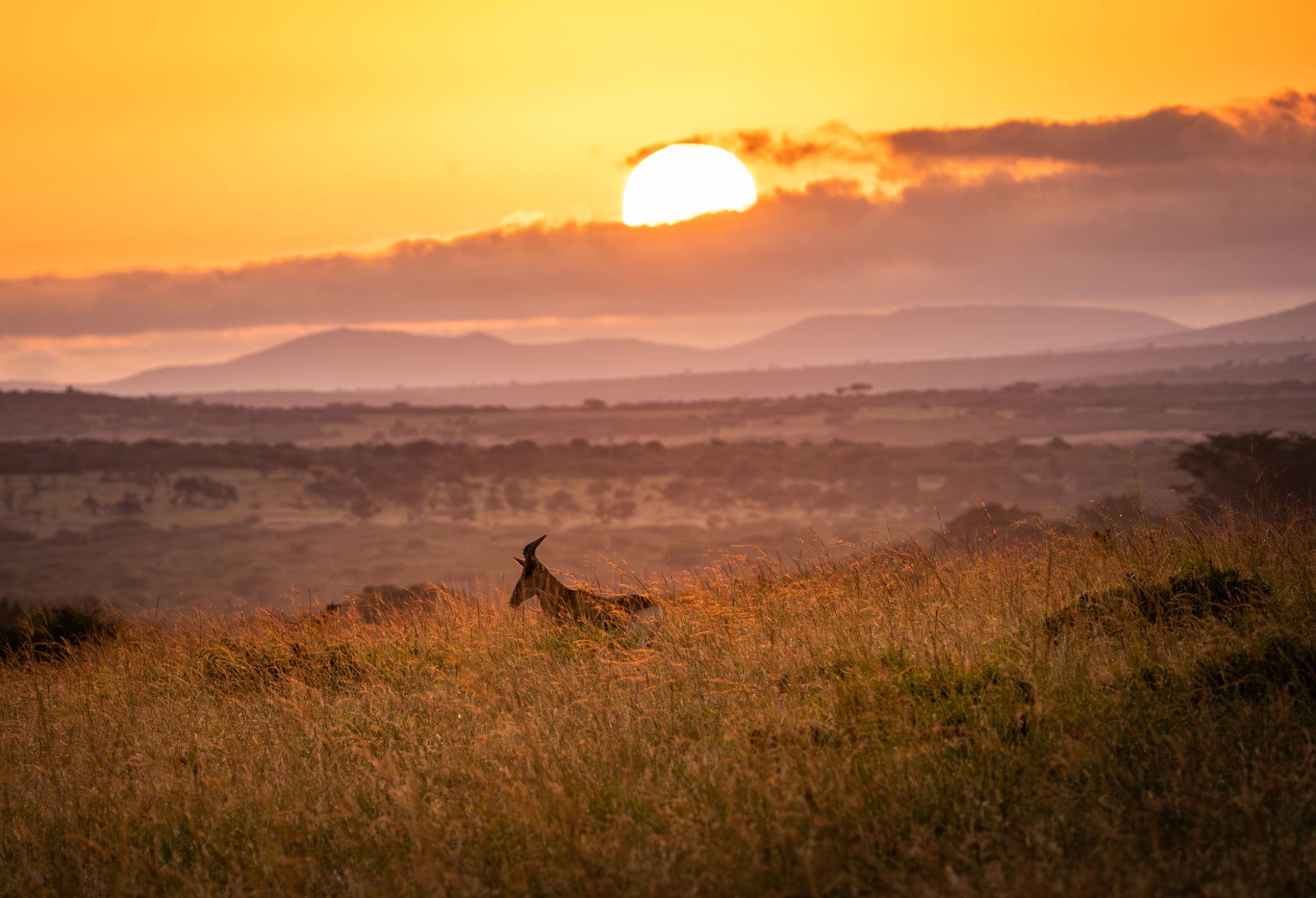Favourite Places to Visit Around Masai Mara – Safari & Wildlife Exploration Guide