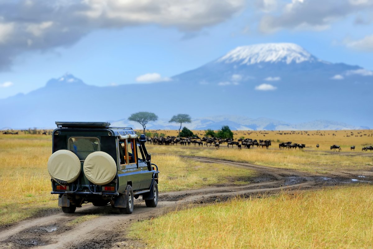 Travel Agent vs DIY Masai Mara Safari – Why Bangalore Travellers Regret DIY Planning