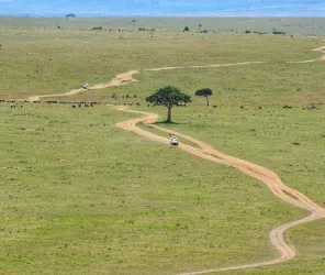 Elevated views over the Masai Mara plains