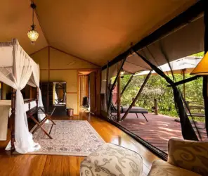 Direct access to key migration corridors