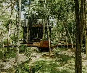 Heritage and nature-first safari design