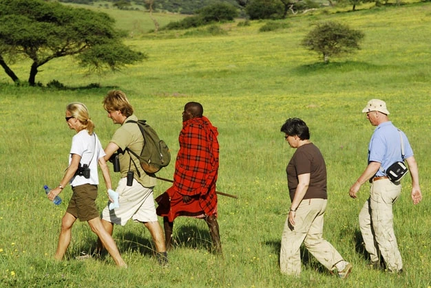 Tracking the Great Migration with expert guides
