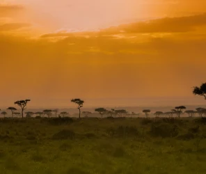 Romantic celebratory atmosphere of a balloon safari