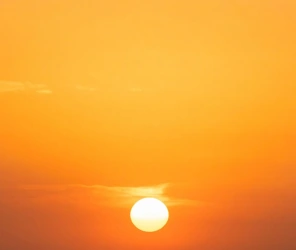 Golden sunrise lighting over the Masai Mara from balloon