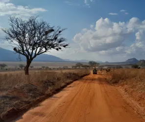 Comfort that helps first-time safari guests relax