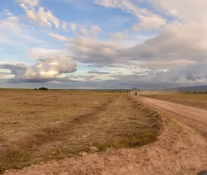 Refined dining for luxury travellers