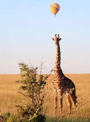 Private safari conservancy landscape in Masai Mara