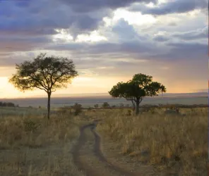 Night game drives in private conservancies