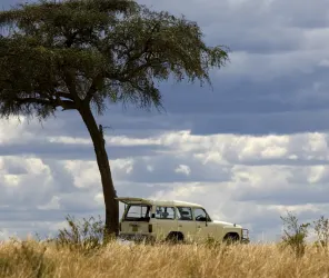 Safari vehicle positioning for photography angles