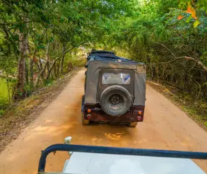 Reposition the vehicle for better views and photos