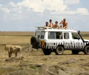 Stop when you want on a private jeep safari