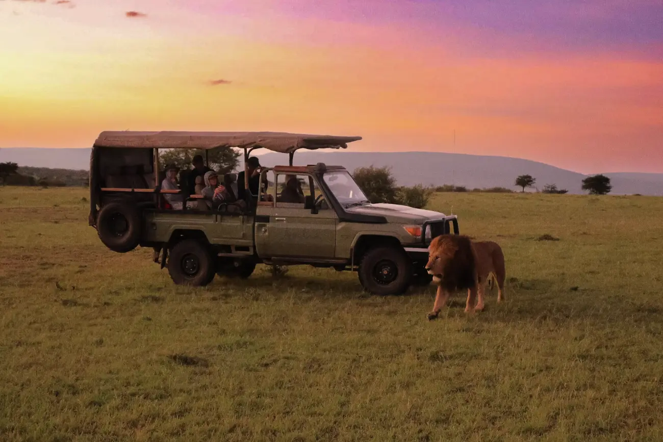 Big 5 Safari in Kenya