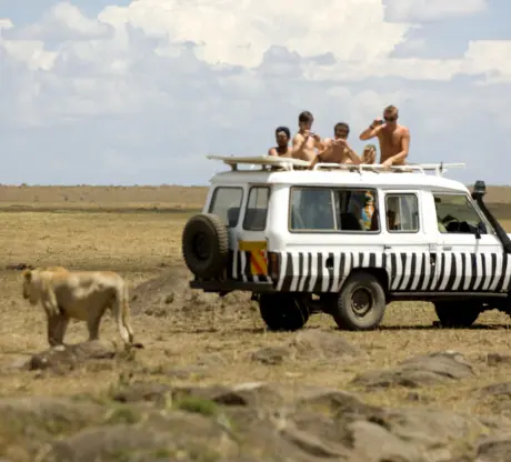 Masai Mara Family Package