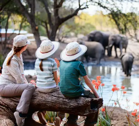 Luxury family camp stay in Masai Mara