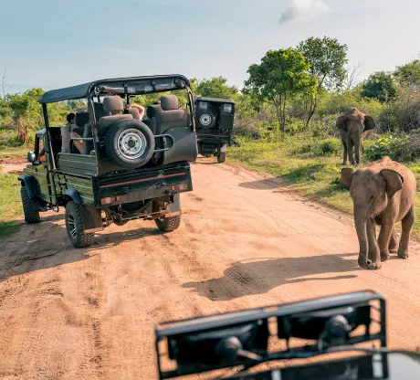 Family-friendly Maasai cultural visit in Masai Mara