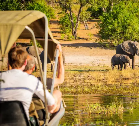 Romantic honeymoon safari in Masai Mara