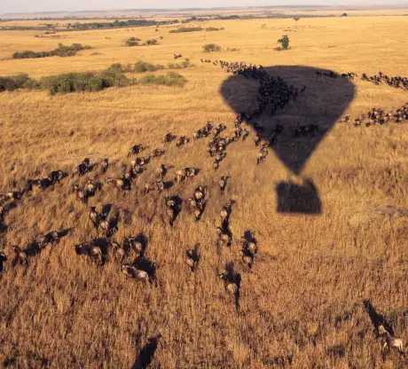 Romantic sundowner setup in Masai Mara