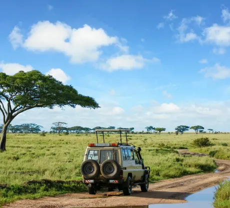 Hot air balloon safari honeymoon experience in Masai Mara