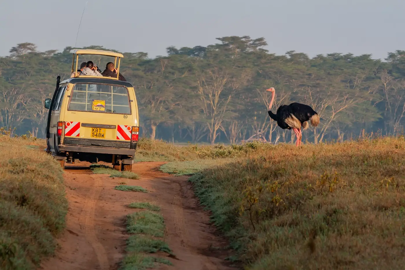 7D Kenya Masai Mara Combo