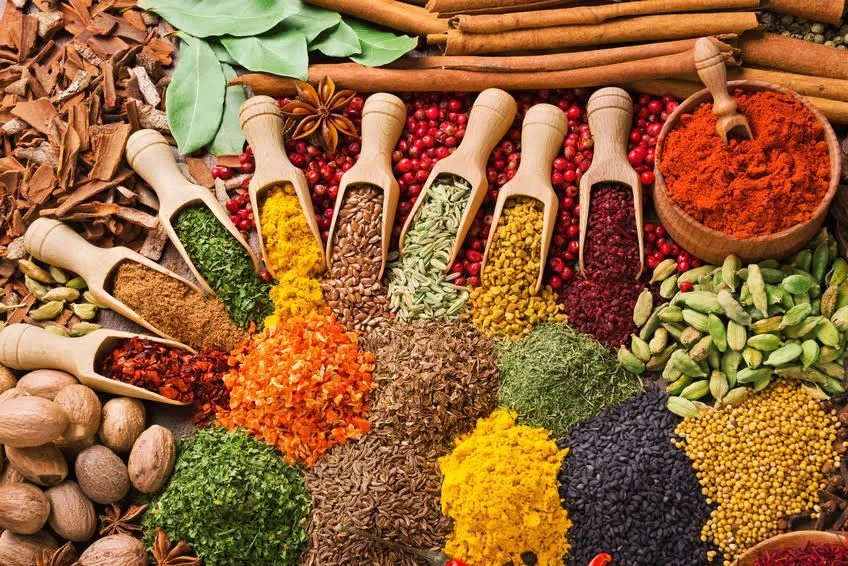 Zanzibar Spice Tour