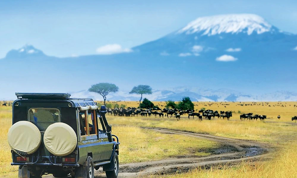 India to Tanzania travel route via Kilimanjaro or Dar es Salaam