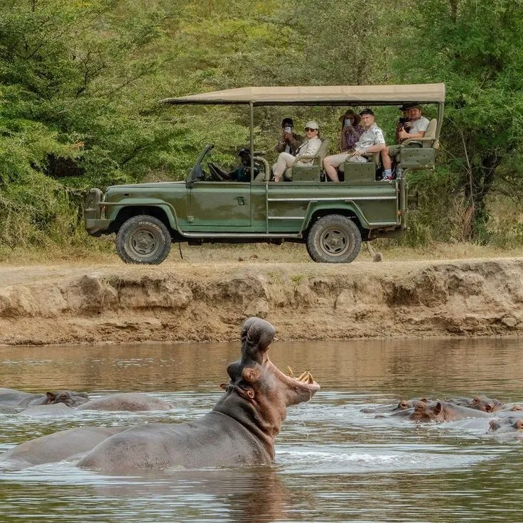 Tanzania safari seasons overview for 2026