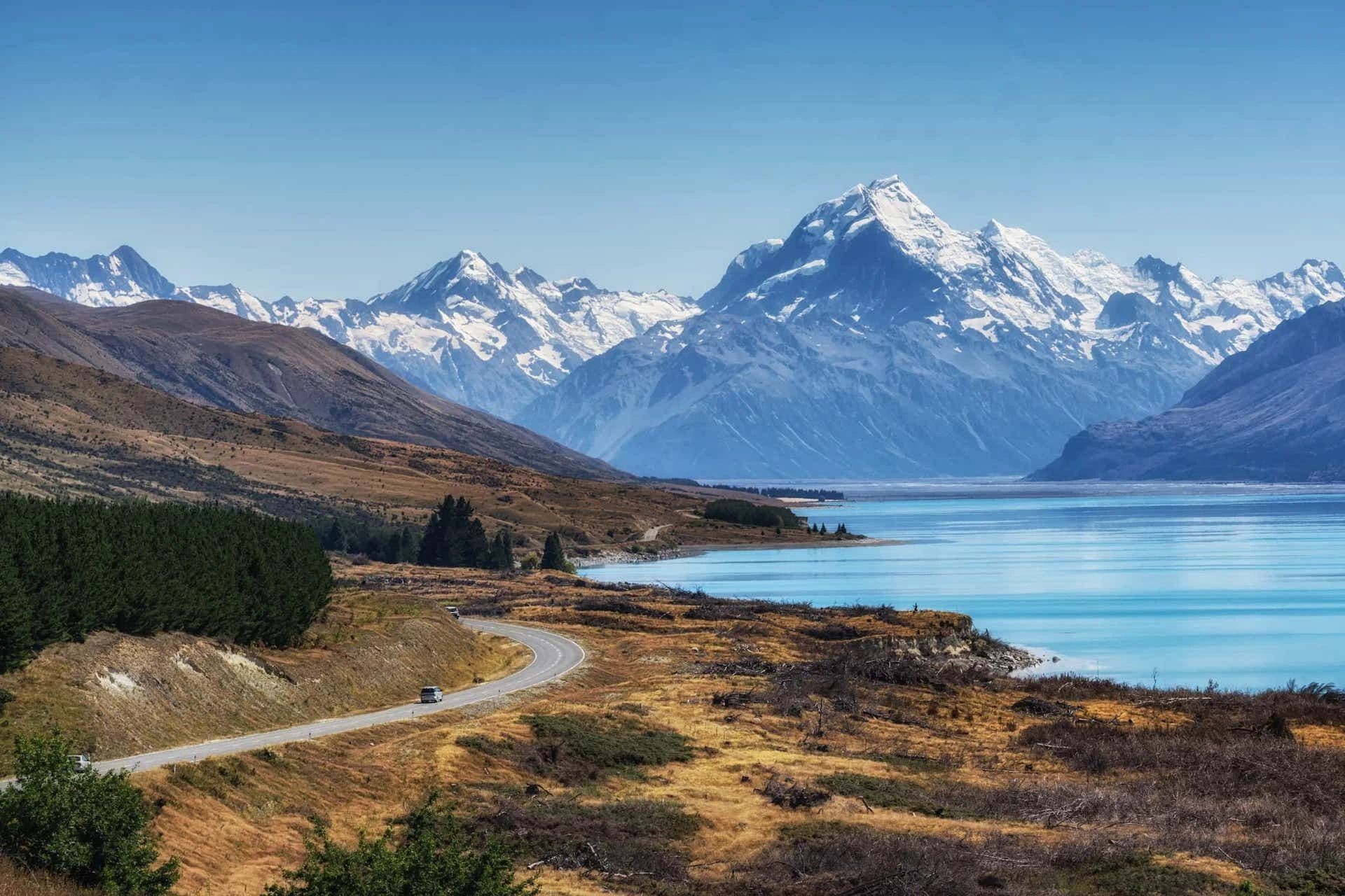 New Zealand landscape