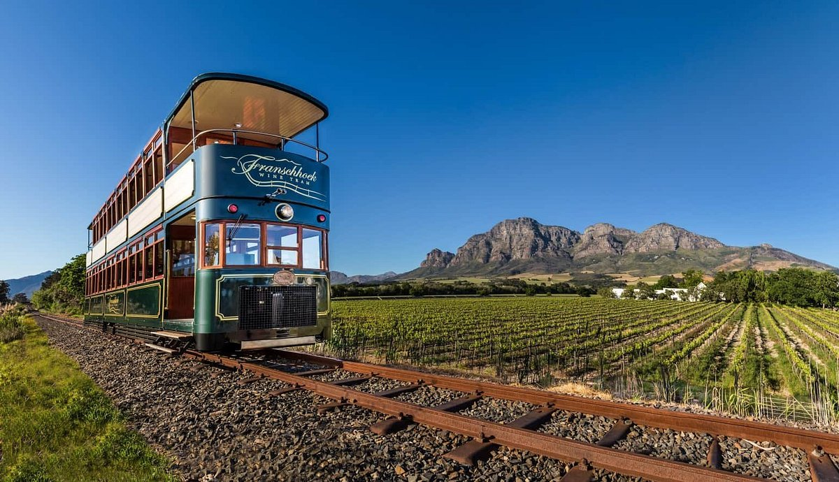 The Cape Winelands