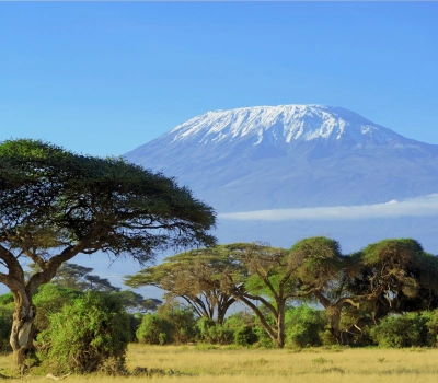 Ngorongoro Crater wildlife Tanzania
