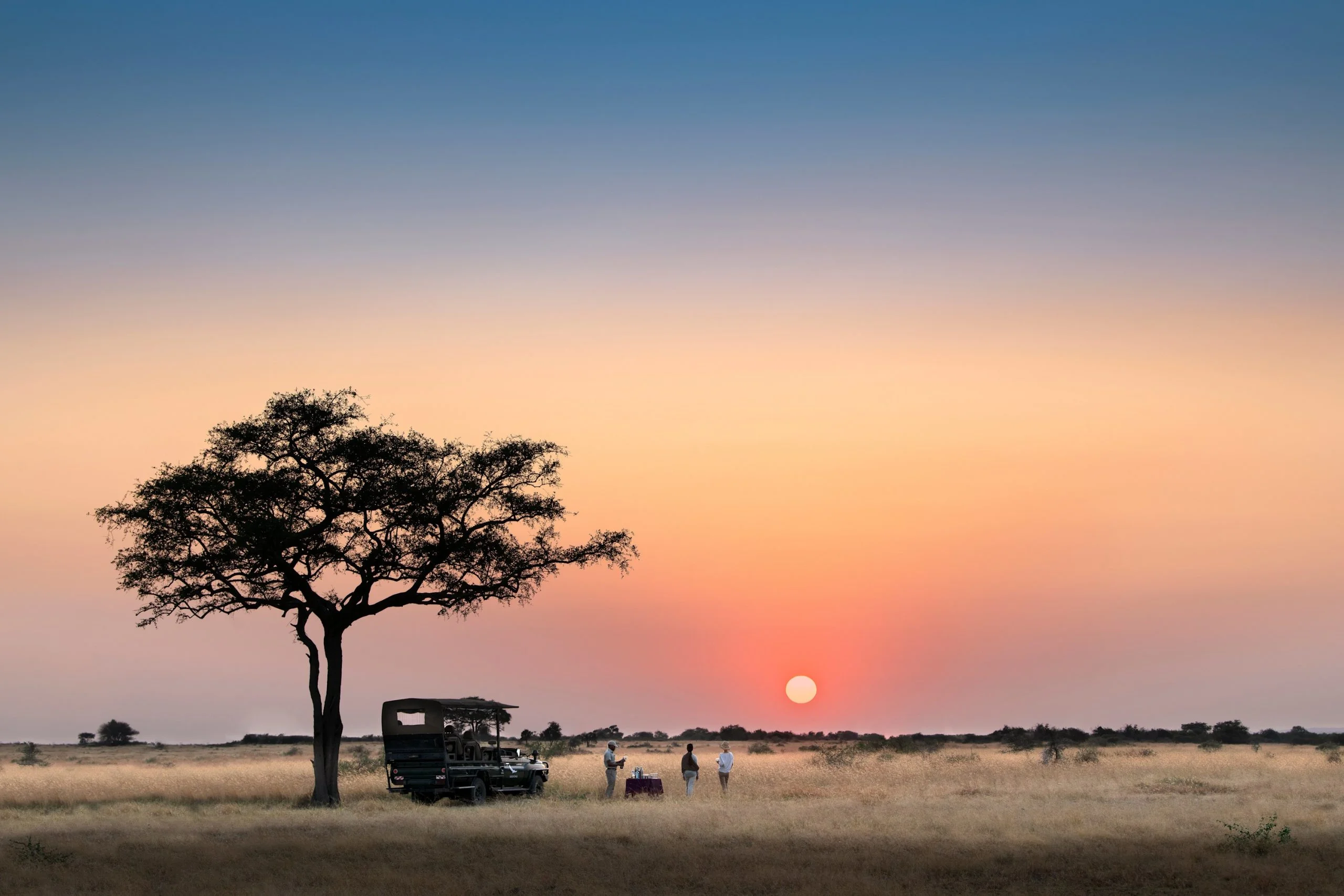 Why visit Tanzania safari and wildlife