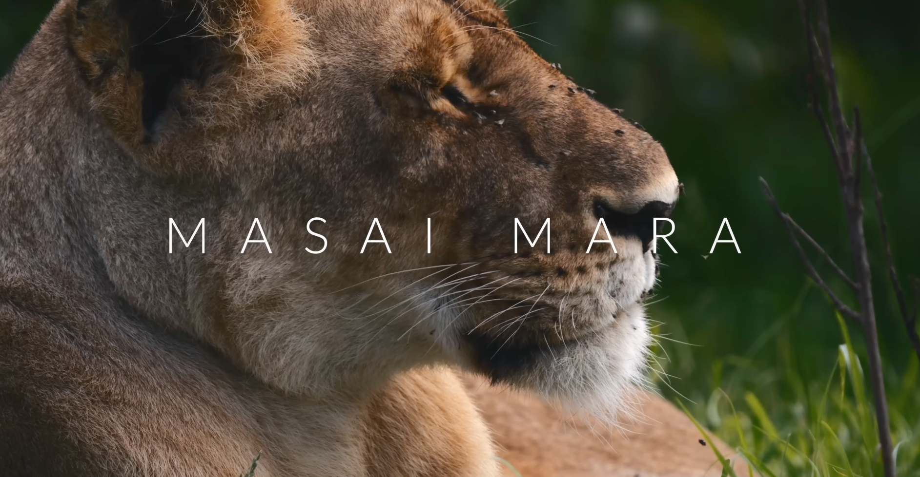 Screenshot 2025-10-08 at 6.09.41 PM